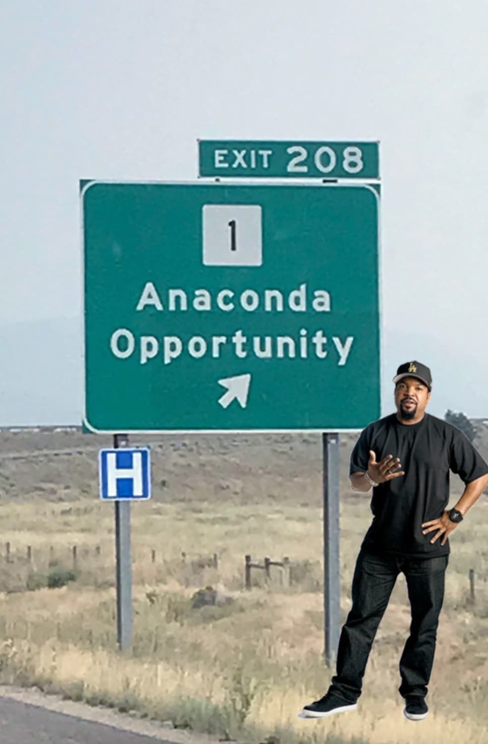 traffic sign - Exit 208 1 Anaconda Opportunity H